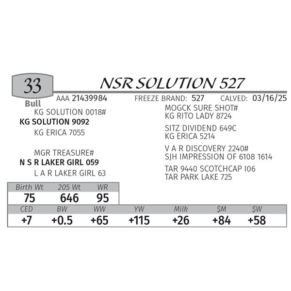 NSR SOLUTION 527