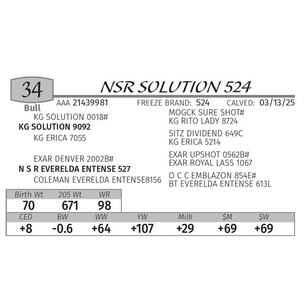 NSR SOLUTION 524