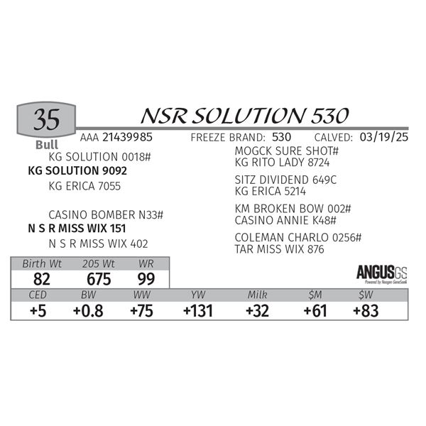 NSR SOLUTION 530