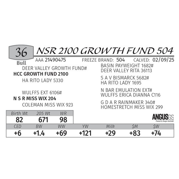 NSR 2100 GROWTH FUND 504