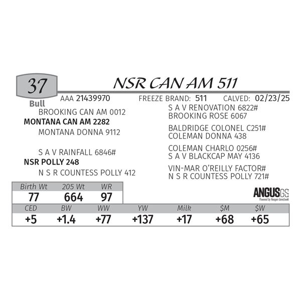 NSR CAN AM 511