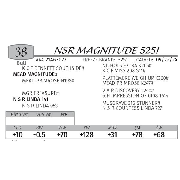 NSR MAGNITUDE 5251