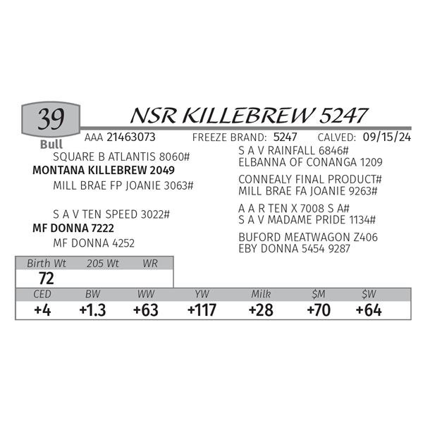 NSR KILLEBREW 5247