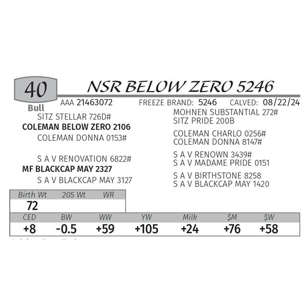 NSR BELOW ZERO 5246