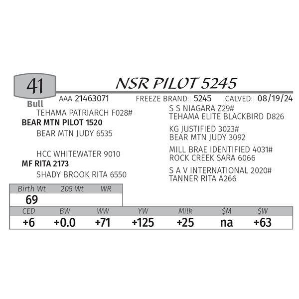 NSR PILOT 5245