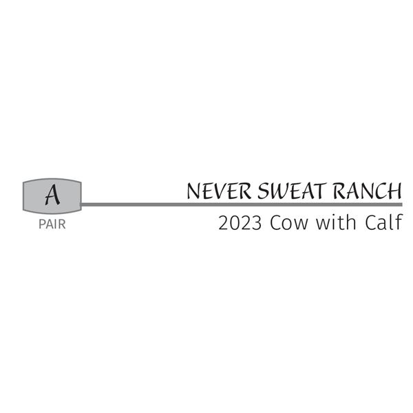 Pair - 2023 Cow with Calf