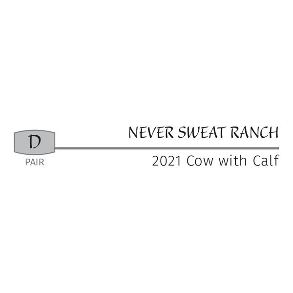 Pair - 2021 Cow with Calf