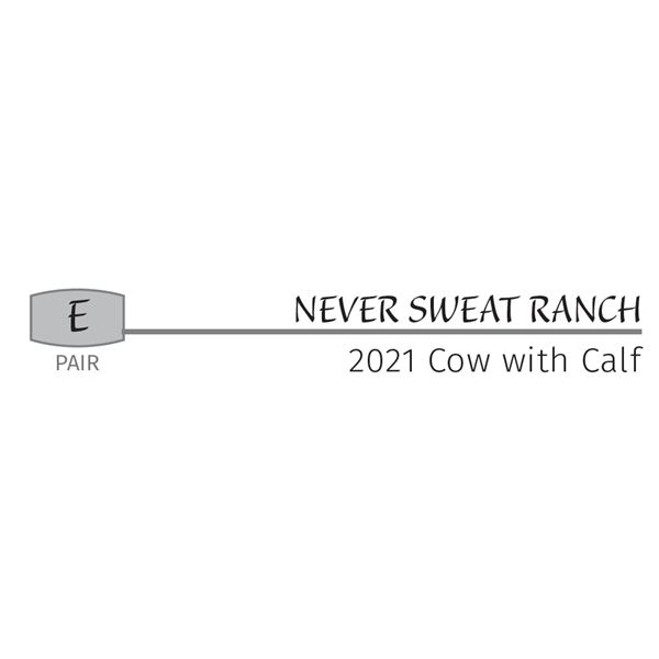 Pair - 2021 Cow with Calf