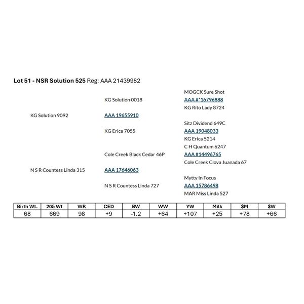 NSR Solution 525