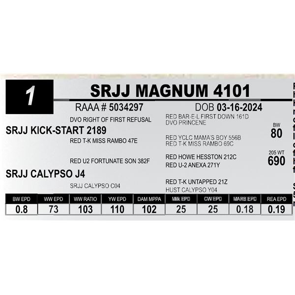 SRJJ MAGNUM 4101