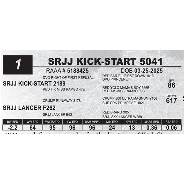 SRJJ KICK-START 5041