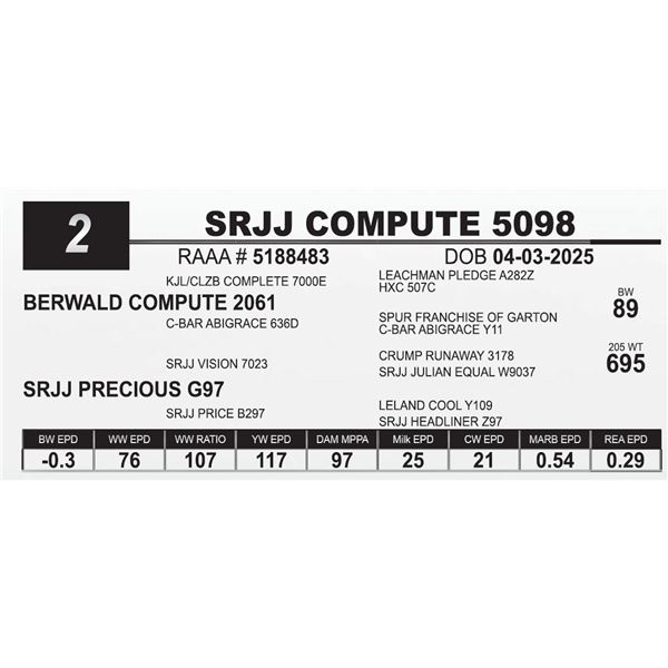 SRJJ COMPUTE 5098