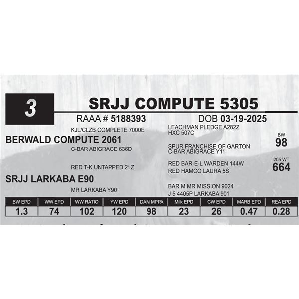 SRJJ COPUTE 5305