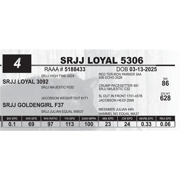 SRJJ LOYAL 5306