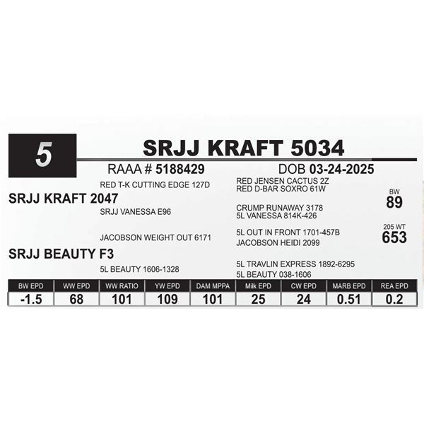 SRJJ  KRAFT 5034
