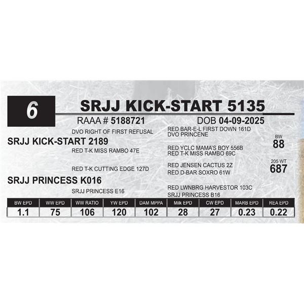 SRJJ KICK-START 5135