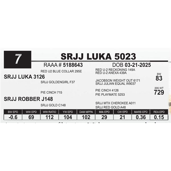 SRJJ LUKA 5023