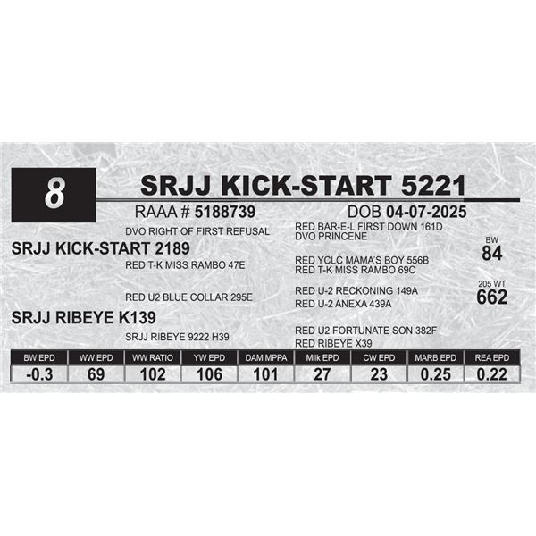 SRJJ KICK-START 5221