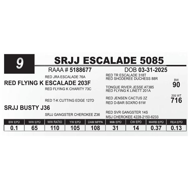 SRJJ ESCALADE 5085