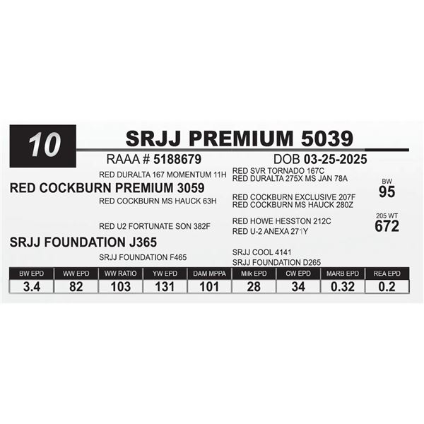 SRJJ PREMIUM 5039