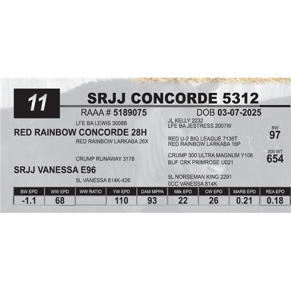 SRJJ CONCORDE 5312