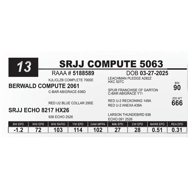 SRJJ COMPUTE 5063