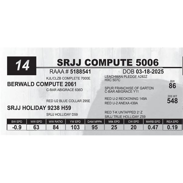 SRJJ COMPUTE 5006