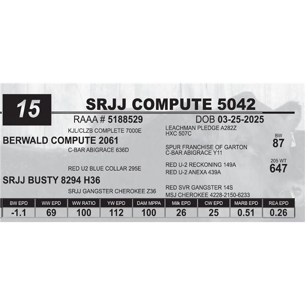 SRJJ COMPUTE 5042