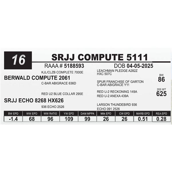 SRJJ COMPUTE 5111