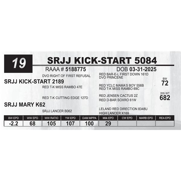 SRJJ KICK-START 5084