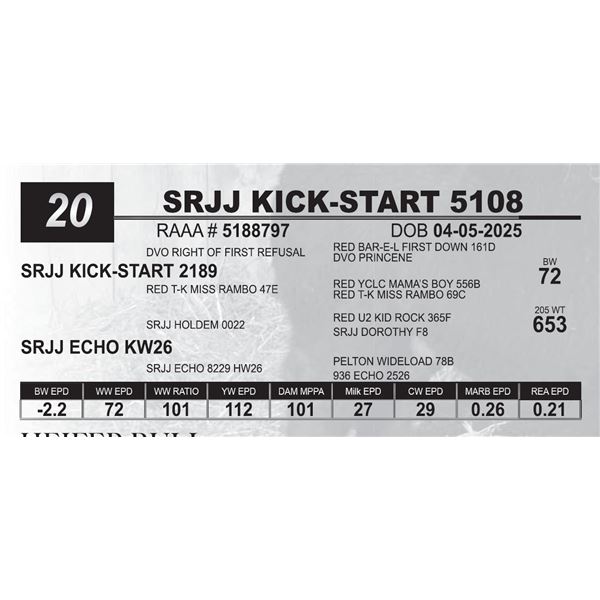 SRJJ KICK-START 5108