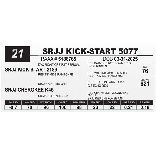 SRJJ KICK-START 5077