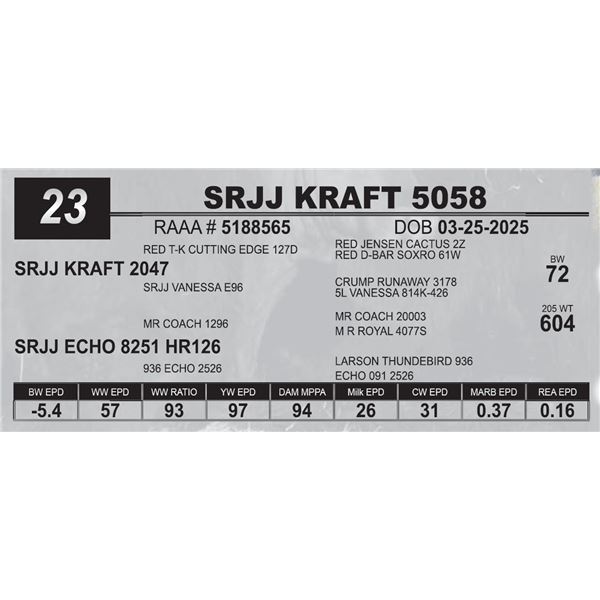 SRJJ KRAFT 5058
