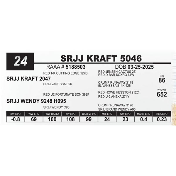 SRJJ KRAFT 5046