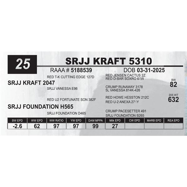SRJJ KRAFT 5310