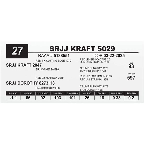 SRJJ KRAFT 5029