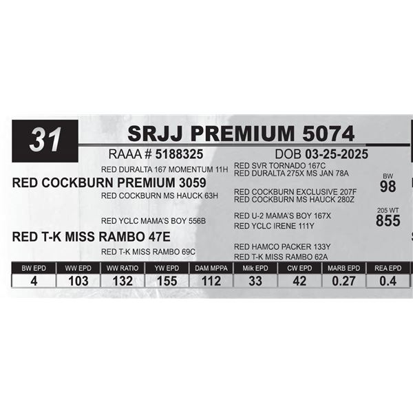 SRJJ PREMIUM 5074