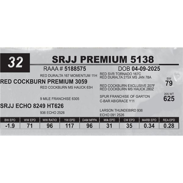 SRJJ PREMIUM 5138