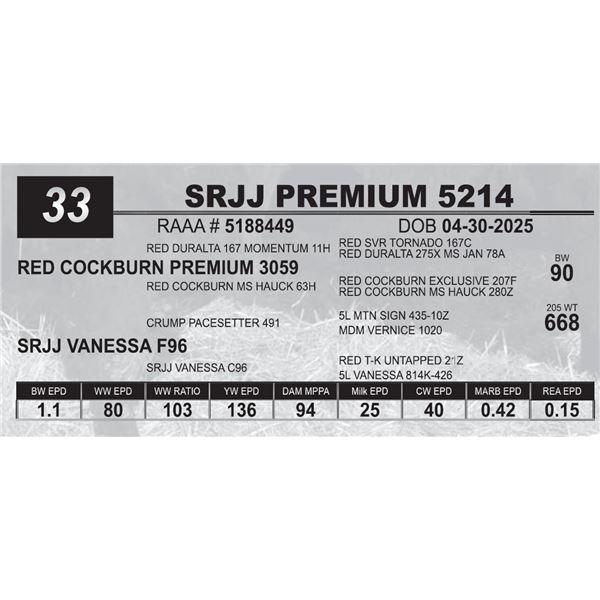 SRJJ PREMIUM 5214