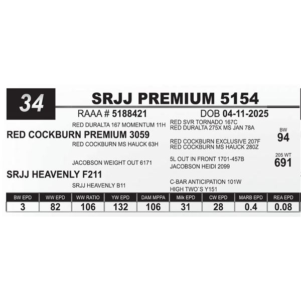 SRJJ PREMIUM 5154