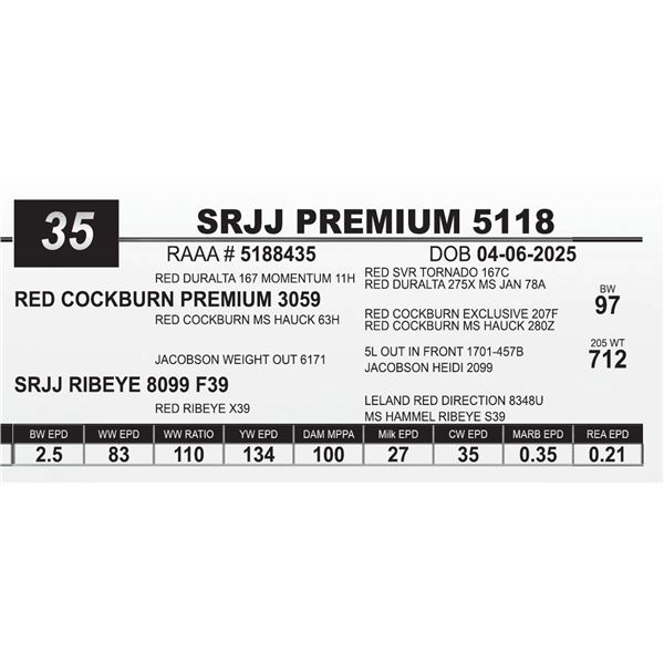 SRJJ PREMIUM 5118