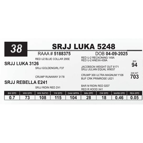 SRJJ LUKA 5248