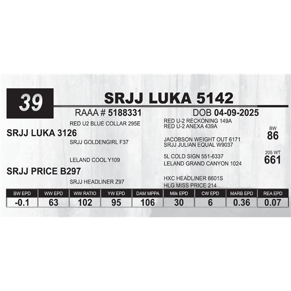 SRJJ LUKA 5142