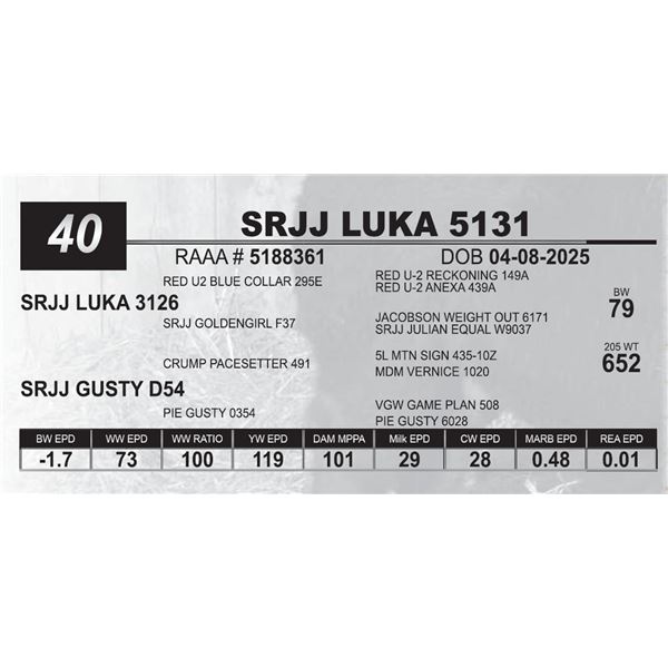 SRJJ LUKA 5131