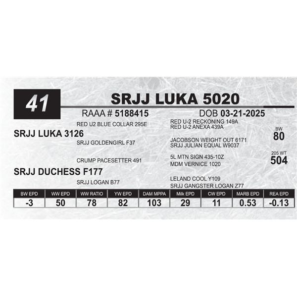 SRJJ LUKA 5020