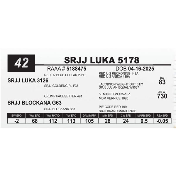 SRJJ LUKA 5178