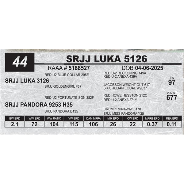 SRJJ LUUKA 5126