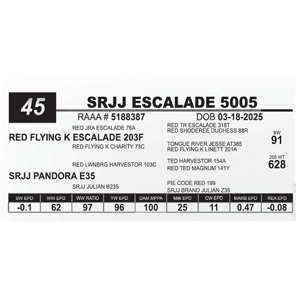 SRJJ ESCALADE 5005