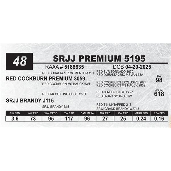 SRJJ PREMIUM 5195