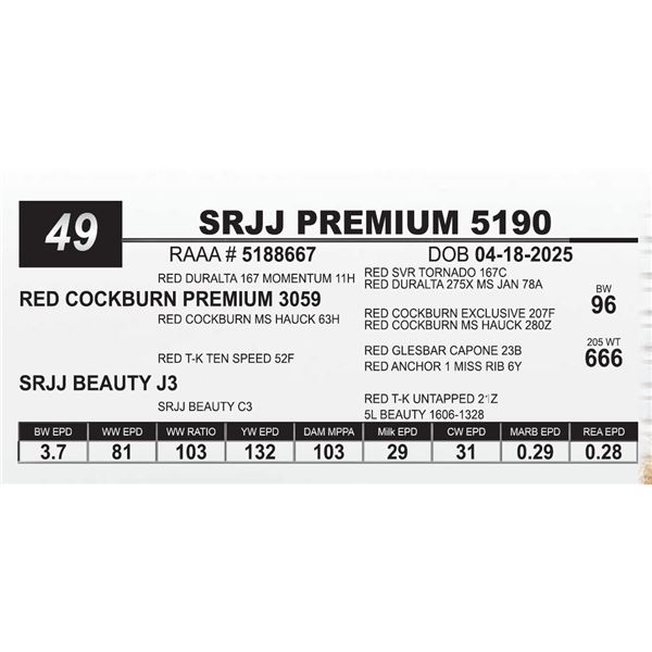 SRJJ PREMIUM 5190